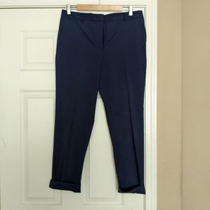 Navy Blue Ankle Pants